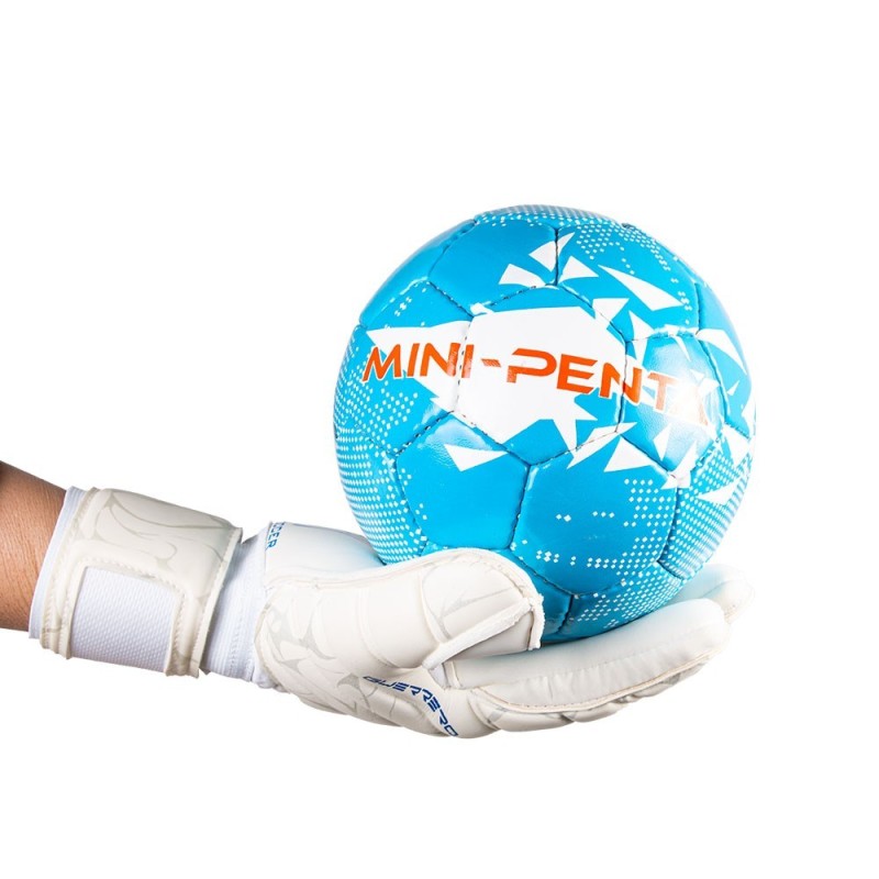 Mini-Penta 2020 trainingsbal