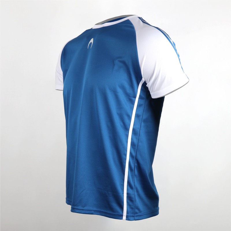 Maillot de Joueur Akademia Bleu