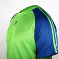 Maillot de Joueur Akademia Vert