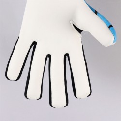 Pro Evolution II NG Blauwe Schaduw